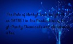The Role of Methyl tert-butyl ether (MTBE) in the Production of High-Purity Chemicals and Intermediates.
