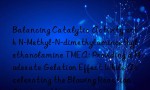 Balancing Catalytic Activity with N-Methyl-N-dimethylaminoethyl ethanolamine TMEA: Providing a Moderate Gelation Effect While Accelerating the Blowing Reaction Significantly