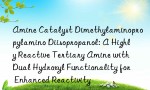 Amine Catalyst Dimethylaminopropylamino Diisopropanol: A Highly Reactive Tertiary Amine with Dual Hydroxyl Functionality for Enhanced Reactivity
