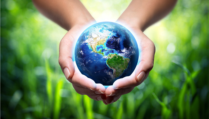 bio-rubber-based rubber helps the rapid growth of carbon neutral domestic research and development