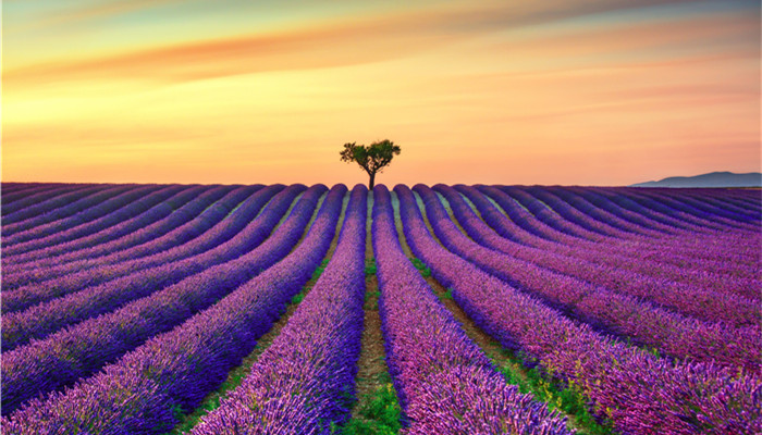 the demand for spices continues to expand, and leading companies are waiting to compete